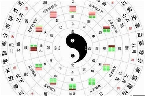 金木水火土数字|金木水火土数字号码表 2023年金木水火土数字号码表